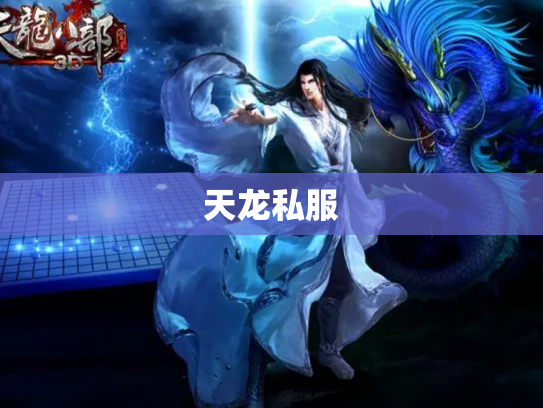 天龙私服