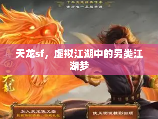 天龙sf，虚拟江湖中的另类江湖梦