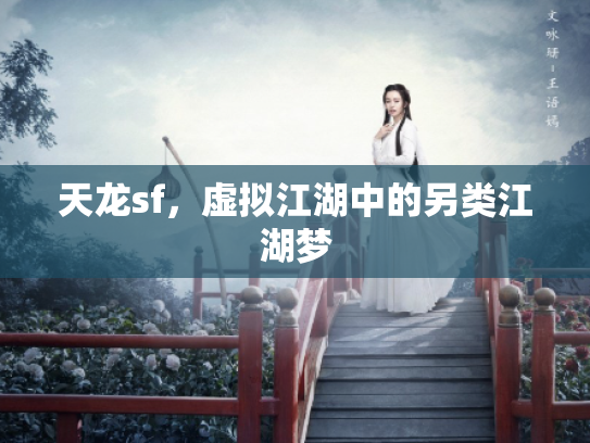 天龙sf，虚拟江湖中的另类江湖梦