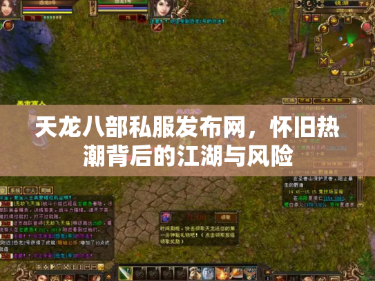 天龙八部私服发布网，怀旧热潮背后的江湖与风险