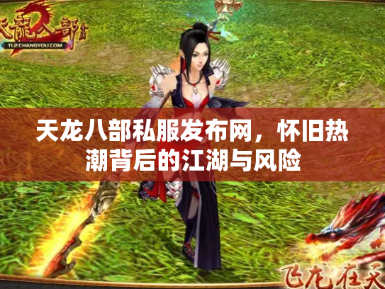 天龙八部私服发布网，怀旧热潮背后的江湖与风险