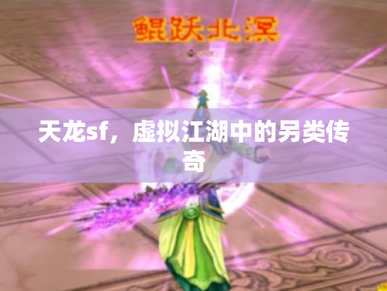 天龙sf，虚拟江湖中的另类传奇