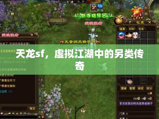 天龙sf，虚拟江湖中的另类传奇