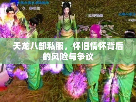 天龙八部私服，怀旧情怀背后的风险与争议