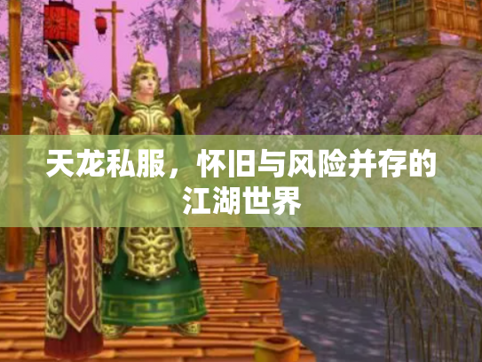 天龙私服，怀旧与风险并存的江湖世界