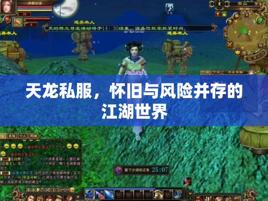天龙私服，怀旧与风险并存的江湖世界