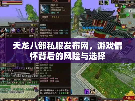 天龙八部私服发布网，游戏情怀背后的风险与选择