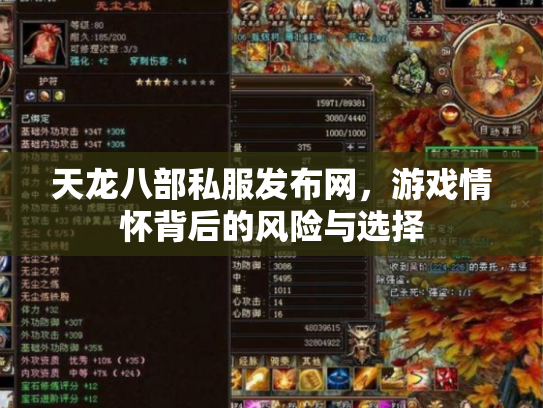 天龙八部私服发布网，游戏情怀背后的风险与选择