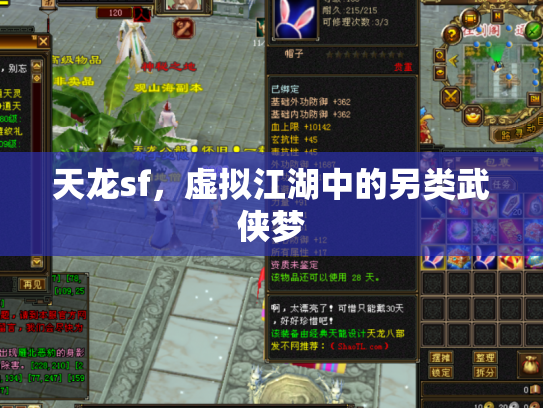 天龙sf，虚拟江湖中的另类武侠梦