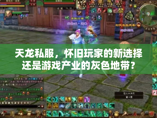 天龙私服，怀旧玩家的新选择还是游戏产业的灰色地带？