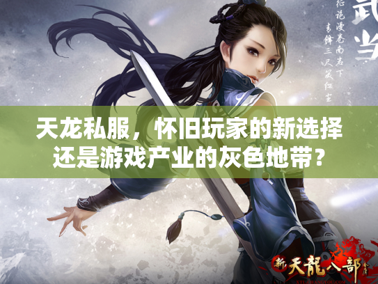 天龙私服，怀旧玩家的新选择还是游戏产业的灰色地带？