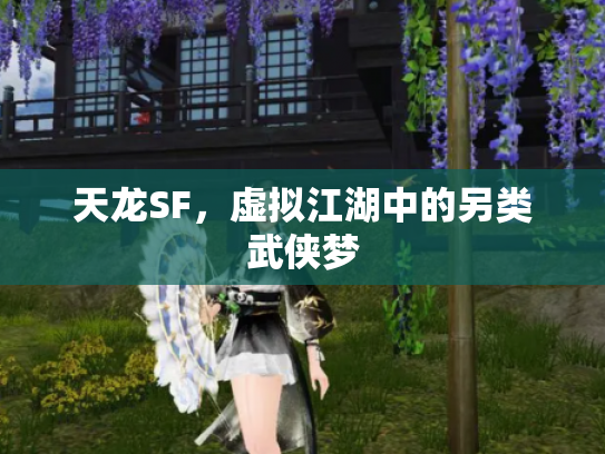 天龙SF，虚拟江湖中的另类武侠梦