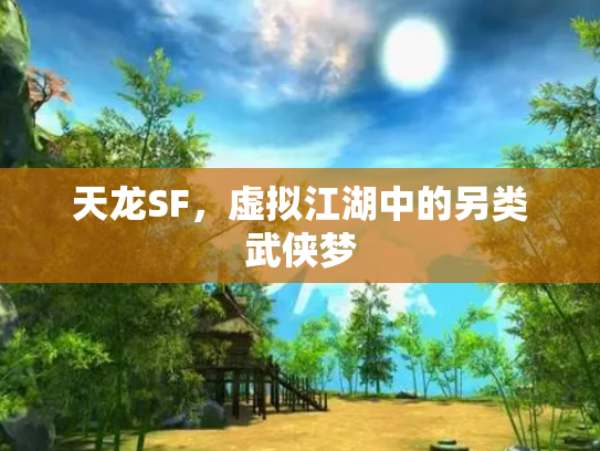 天龙SF，虚拟江湖中的另类武侠梦