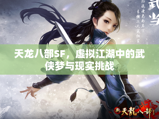 天龙八部SF，虚拟江湖中的武侠梦与现实挑战