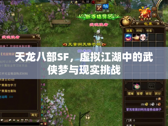 天龙八部SF，虚拟江湖中的武侠梦与现实挑战