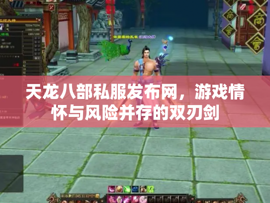 天龙八部私服发布网，游戏情怀与风险并存的双刃剑