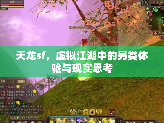 天龙sf，虚拟江湖中的另类体验与现实思考