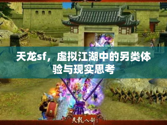 天龙sf，虚拟江湖中的另类体验与现实思考