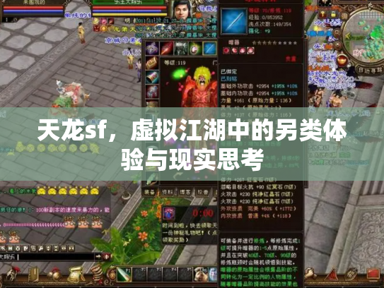 天龙sf，虚拟江湖中的另类体验与现实思考