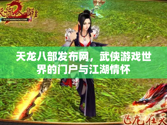天龙八部发布网，武侠游戏世界的门户与江湖情怀