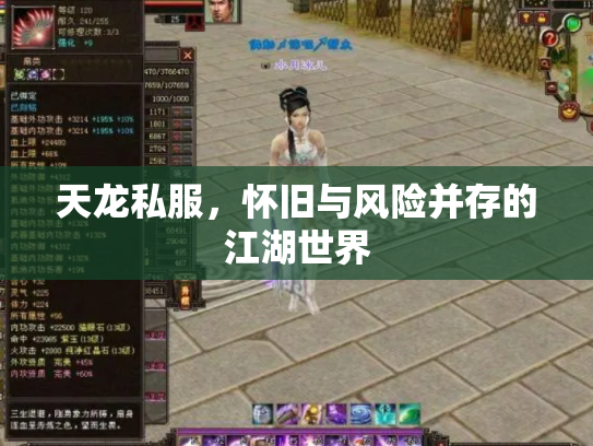 天龙私服，怀旧与风险并存的江湖世界