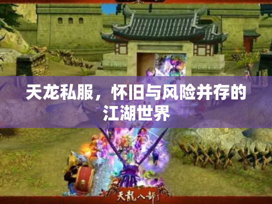 天龙私服，怀旧与风险并存的江湖世界