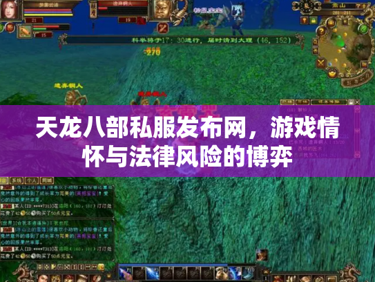 天龙八部私服发布网，游戏情怀与法律风险的博弈