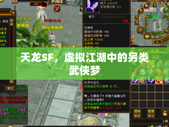 天龙SF，虚拟江湖中的另类武侠梦