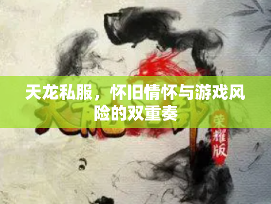 天龙私服，怀旧情怀与游戏风险的双重奏