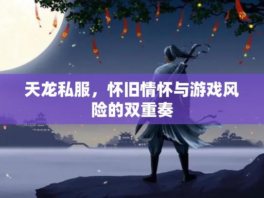 天龙私服，怀旧情怀与游戏风险的双重奏