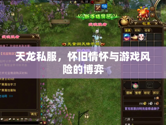 天龙私服，怀旧情怀与游戏风险的博弈