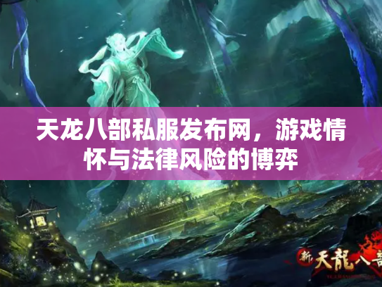天龙八部私服发布网，游戏情怀与法律风险的博弈