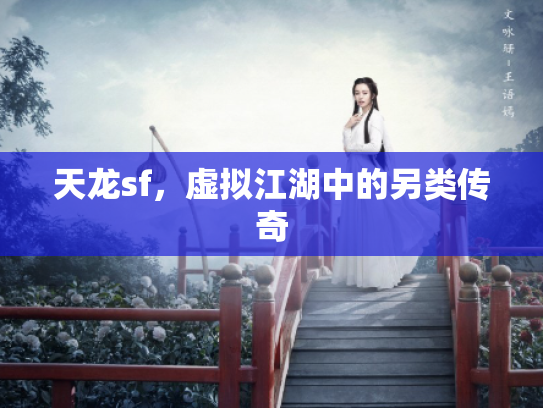 天龙sf，虚拟江湖中的另类传奇