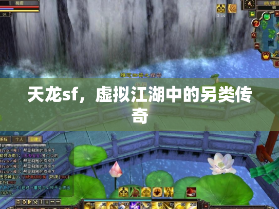 天龙sf，虚拟江湖中的另类传奇