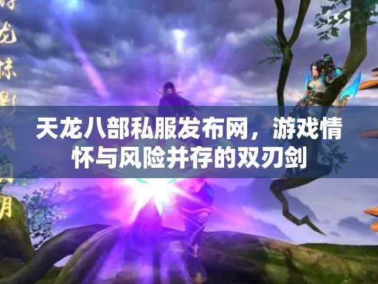 天龙八部私服发布网，游戏情怀与风险并存的双刃剑