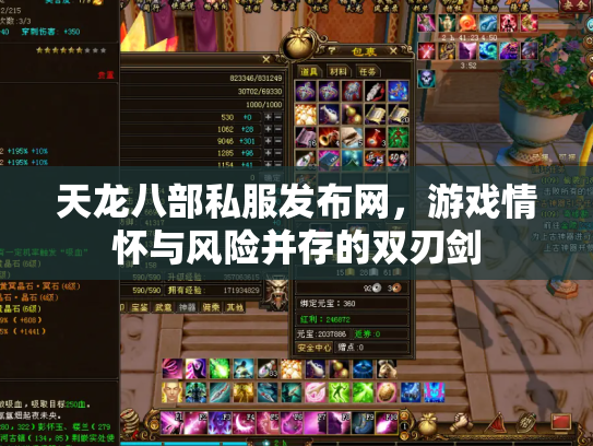 天龙八部私服发布网，游戏情怀与风险并存的双刃剑