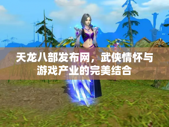天龙八部发布网，武侠情怀与游戏产业的完美结合