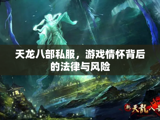 天龙八部私服，游戏情怀背后的法律与风险