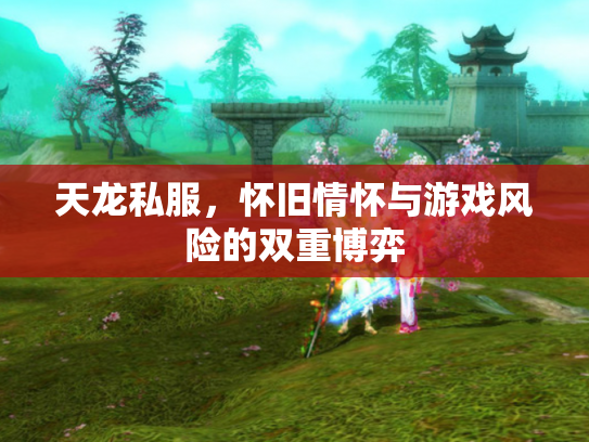 天龙私服，怀旧情怀与游戏风险的双重博弈
