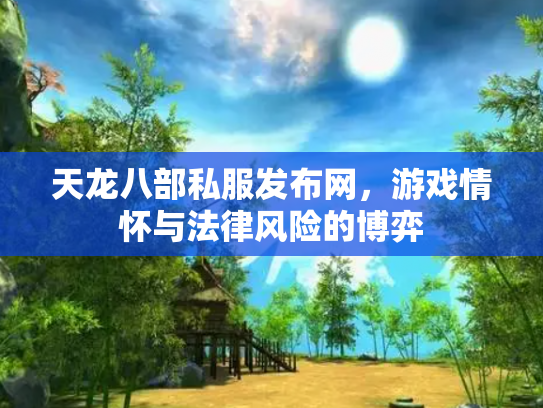天龙八部私服发布网，游戏情怀与法律风险的博弈