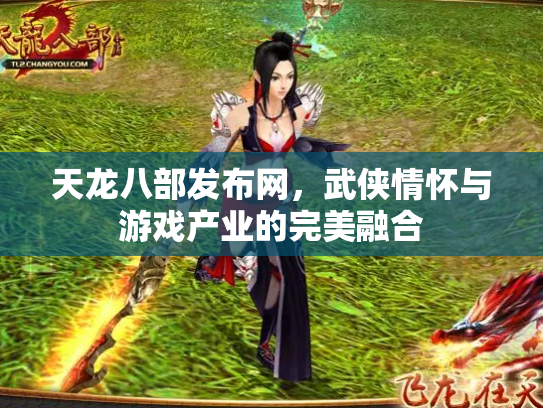 天龙八部发布网，武侠情怀与游戏产业的完美融合