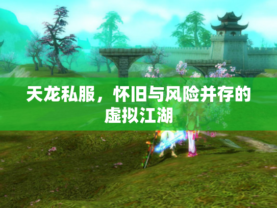天龙私服，怀旧与风险并存的虚拟江湖