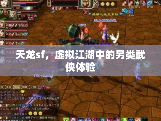 天龙sf，虚拟江湖中的另类武侠体验