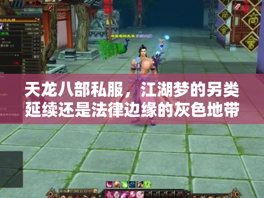 天龙八部私服，江湖梦的另类延续还是法律边缘的灰色地带？