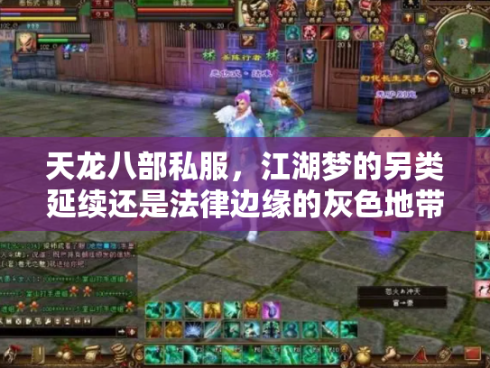 天龙八部私服，江湖梦的另类延续还是法律边缘的灰色地带？
