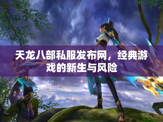 天龙八部私服发布网，经典游戏的新生与风险