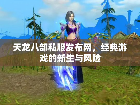 天龙八部私服发布网，经典游戏的新生与风险