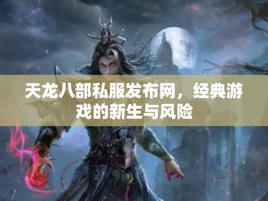 天龙八部私服发布网，经典游戏的新生与风险