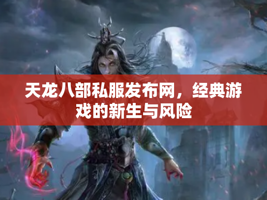 天龙八部私服发布网，经典游戏的新生与风险