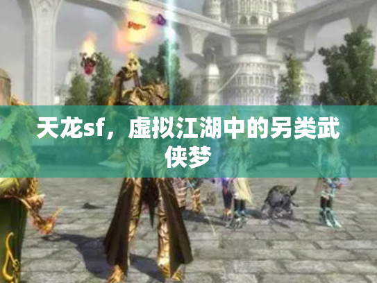 天龙sf，虚拟江湖中的另类武侠梦